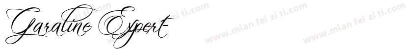 Garaline Expert字体转换